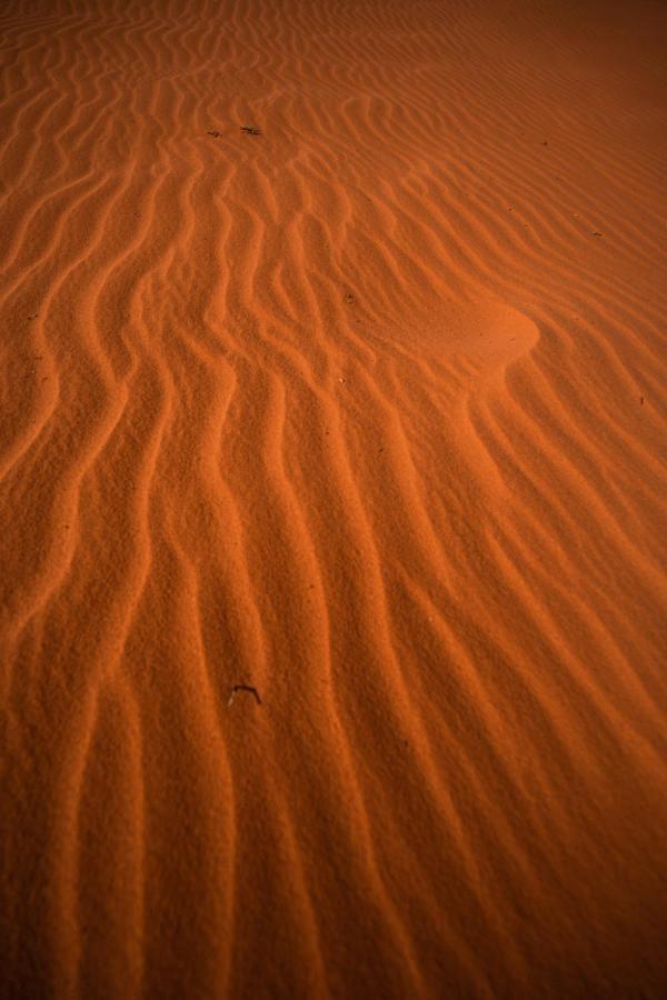 Stars Life Camp-Tour Hotel Wadi Rum Exterior photo